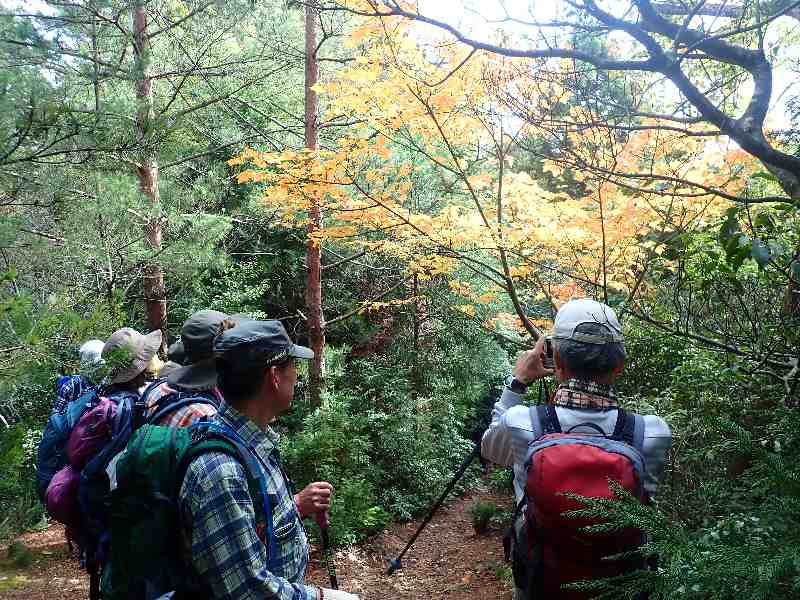 5.�E���n�_�J�G�f�̉��t