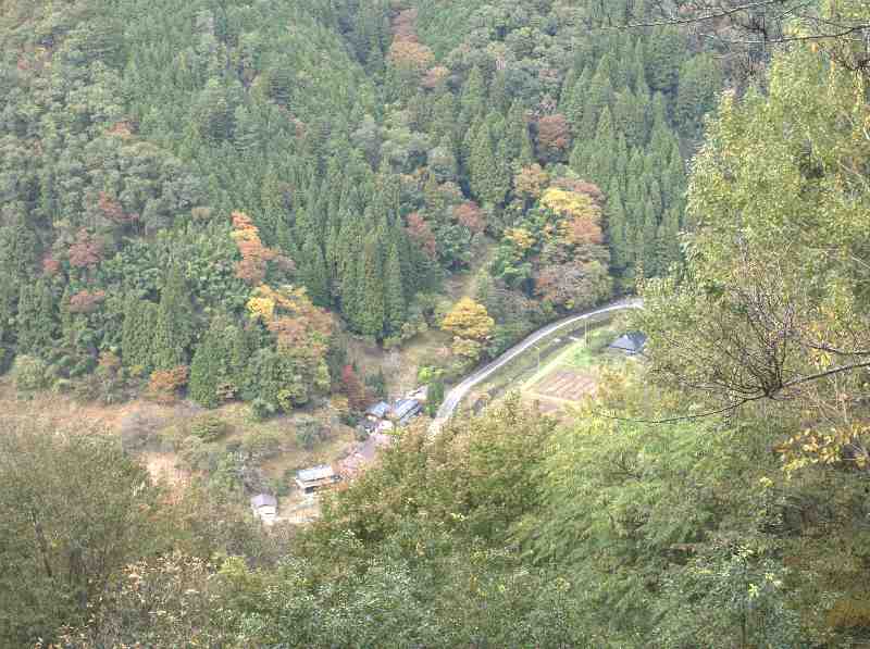 6.����W��