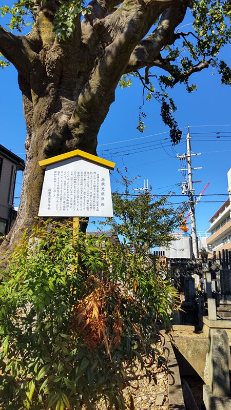 7.��i�@�䎛�w偒ˁ@�|�̑��