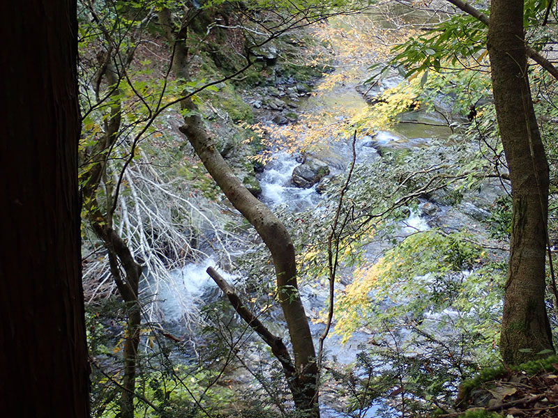 4.�R�ǐ쌹��