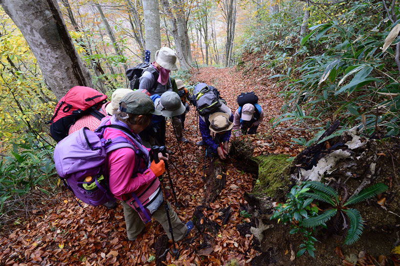 10.�L�m�R�ώ@