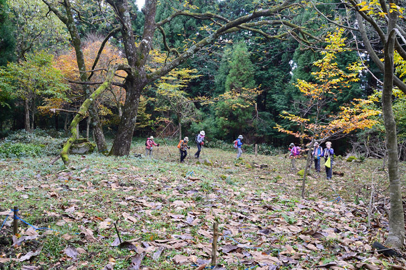 11.���R�W����