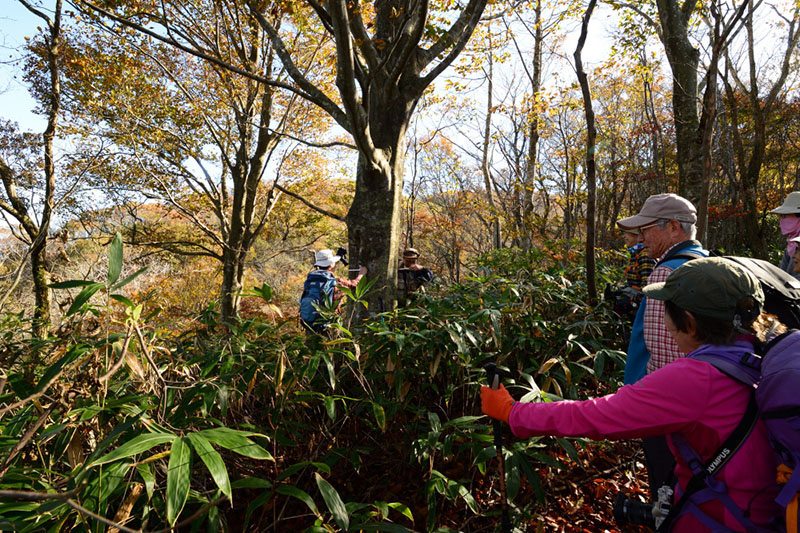 3.�u�i�����ꂾ��