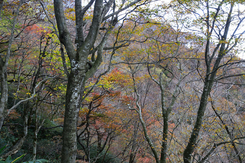 8.�u�i�ƍg�t