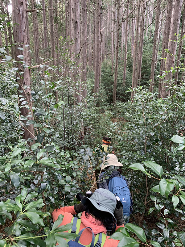 5.�M�̒���������