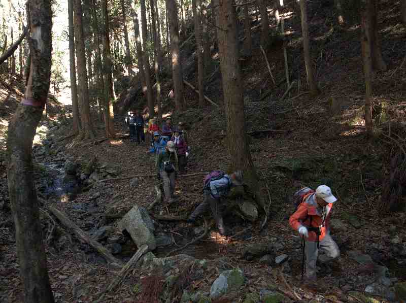 4.�����J������