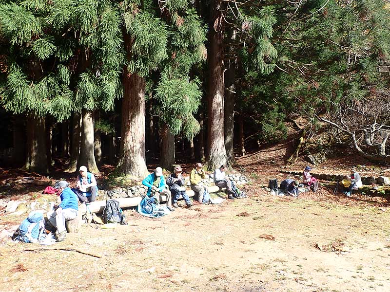 5.���������H