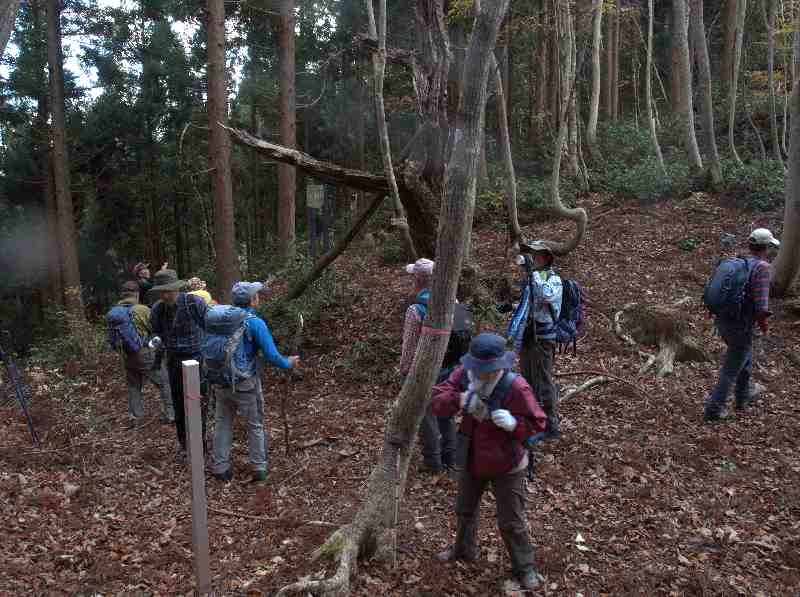 8.�_���m��