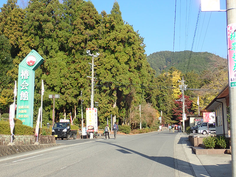 1.�֑�_�ЎQ��