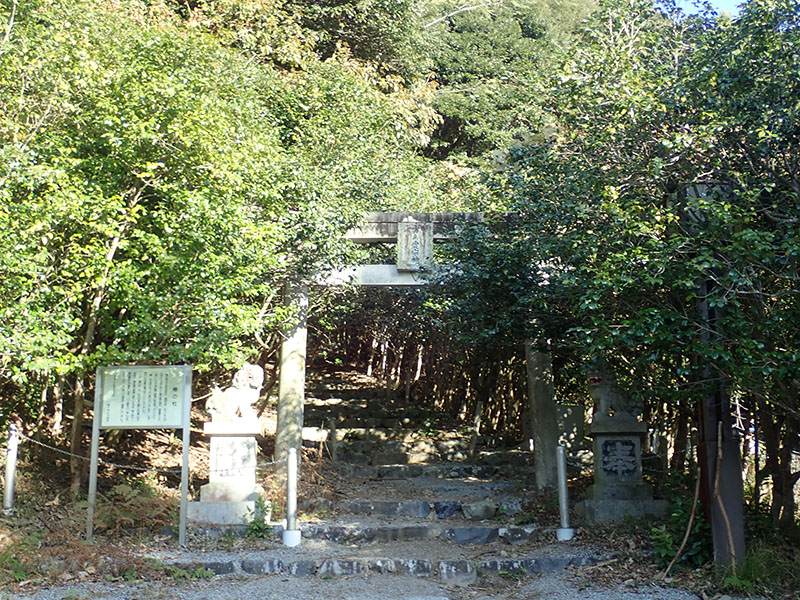 3.�k�����o�R��