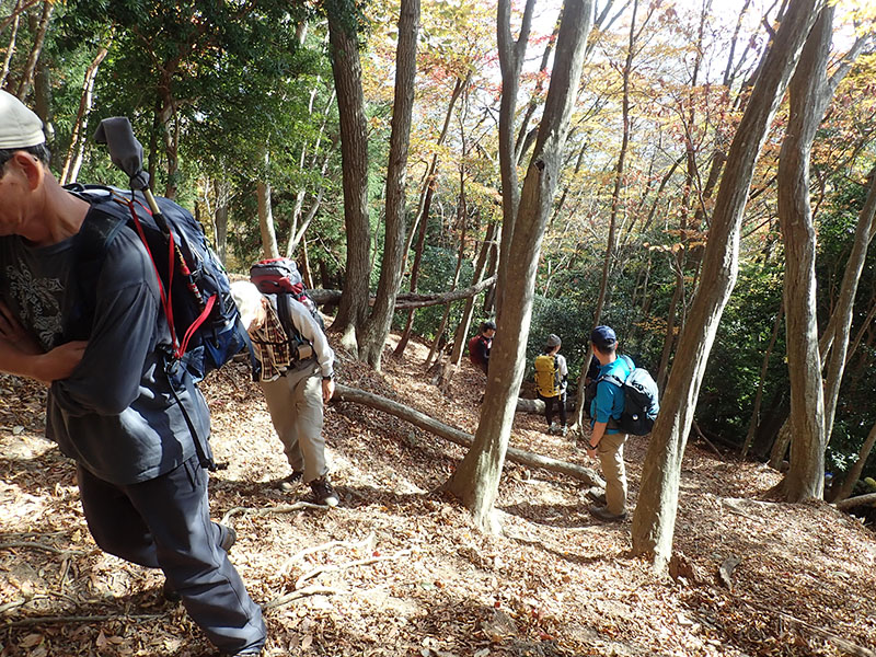 4.�����O�̋}�o