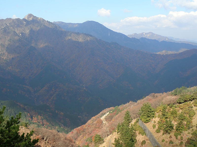 8.�R����芙�E��ݏ��E�߉ނ�]��