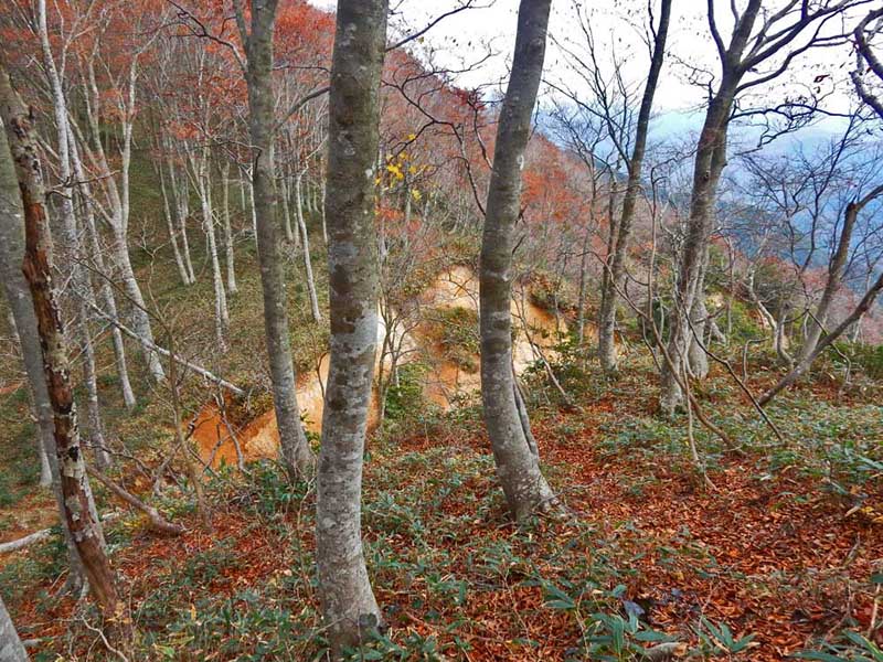 1.�u�i�тƕ���