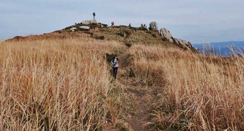 2.�C���f�B�A������