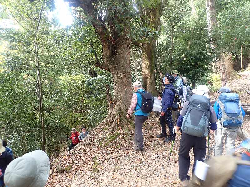 3.�ŏ��̃A�J�K�V