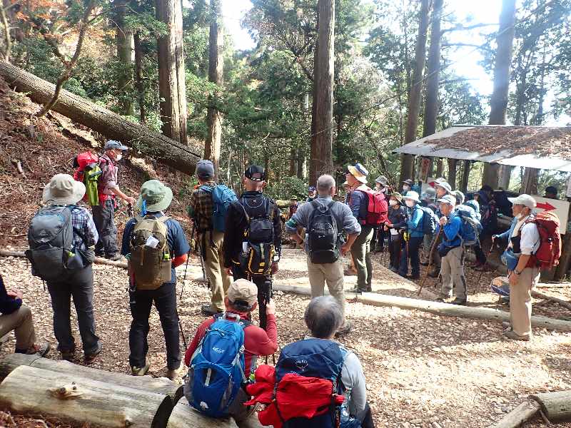 7.�����ʂ�