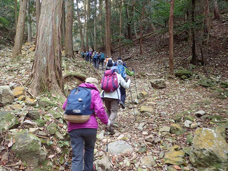 1.�A�ђn��o��