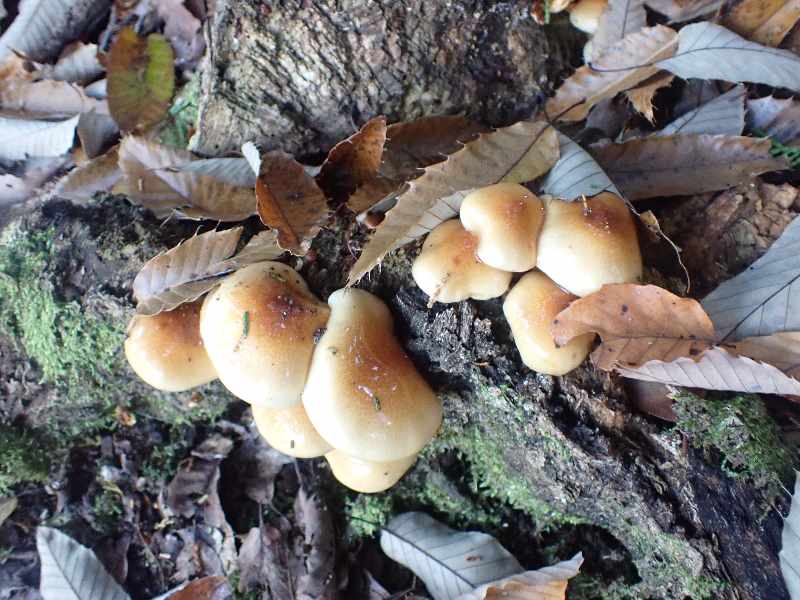 12.������