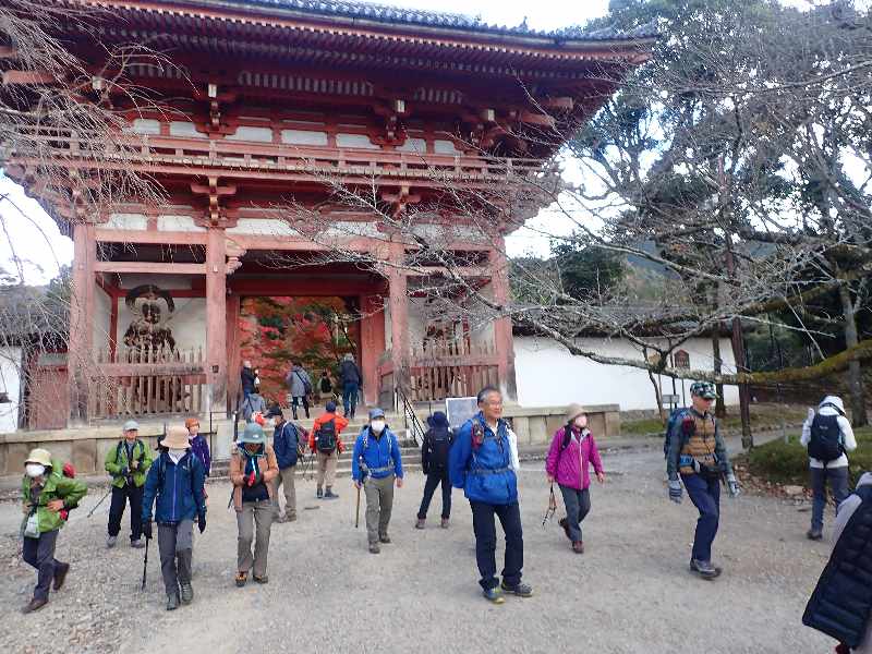 7��펛�R��