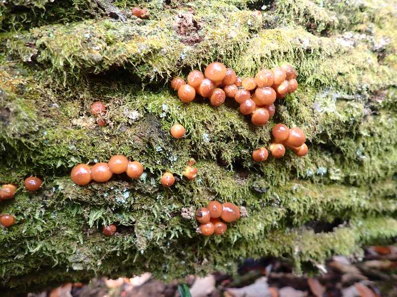 9.��������������