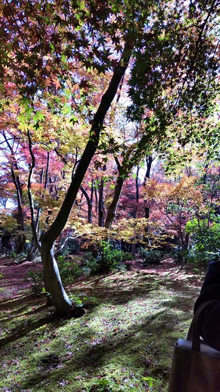 10.�_����2