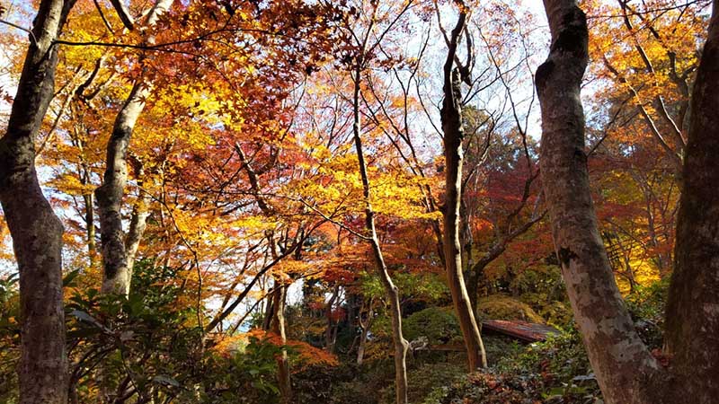 11.�_����3