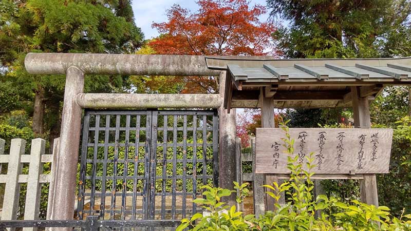 4.�L�q�q���e����