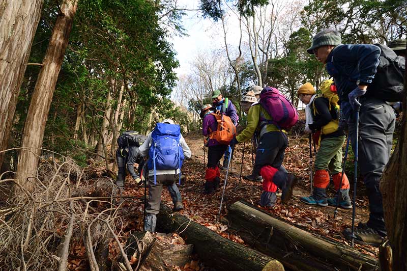 3.�L�m�R�T��