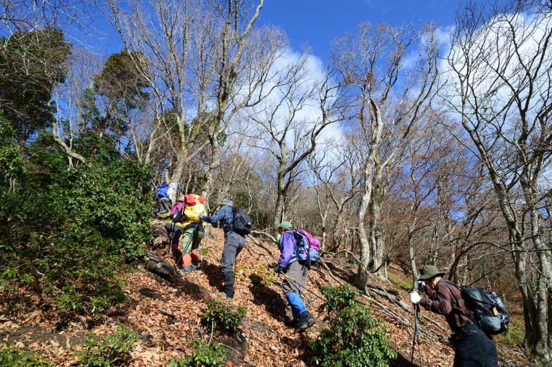 5.�G�ؗт̓o��