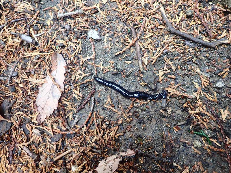 8.�R�E�K�C�r��