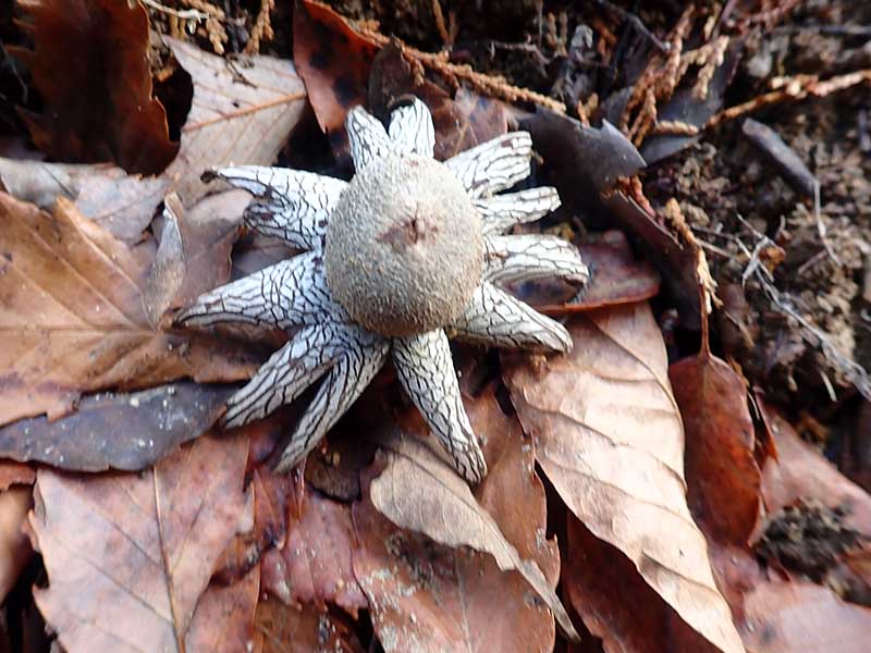 9.�c�`�O��