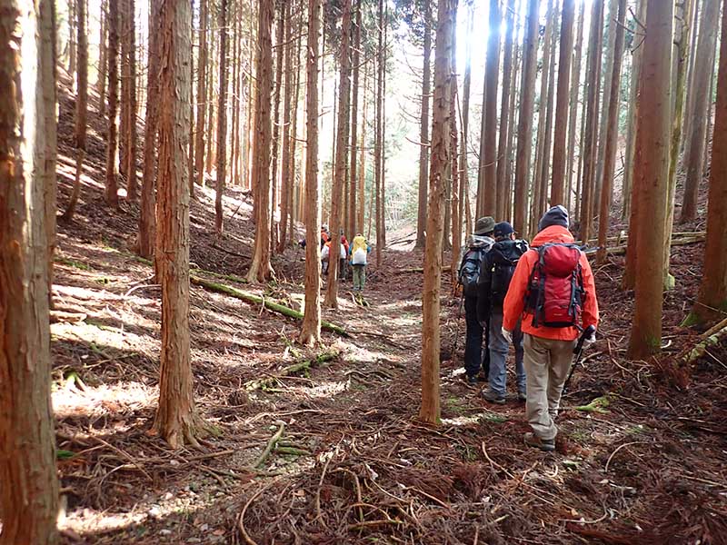 9.�A�ђn������