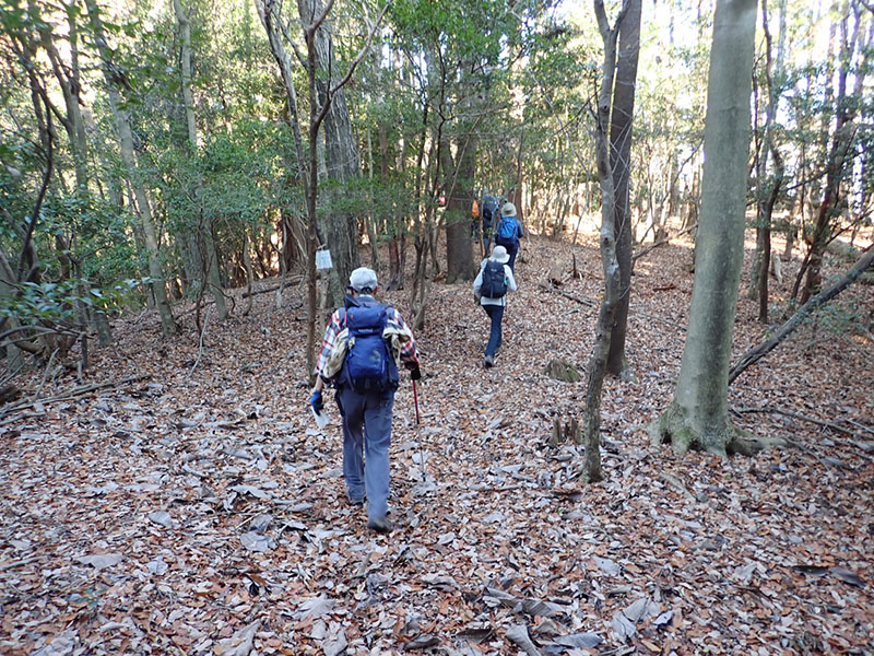 7.快適な尾根歩き(N)