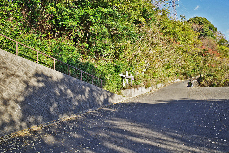 3.道路壁面を登る