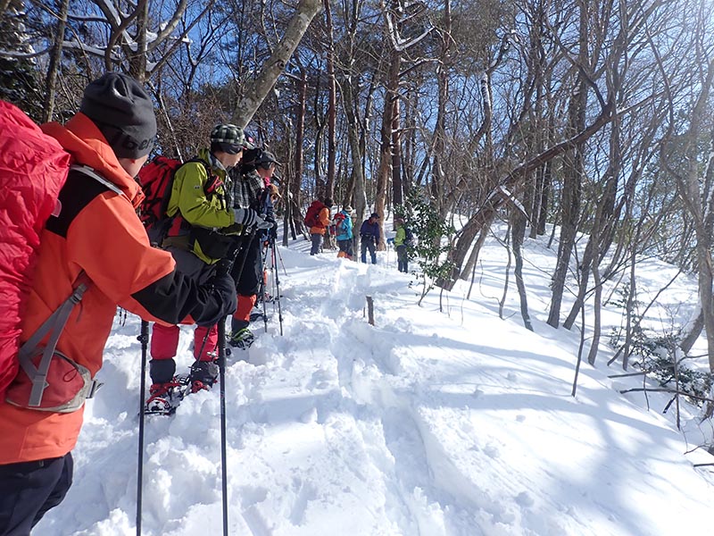 5.尾根筋の分岐点を探す