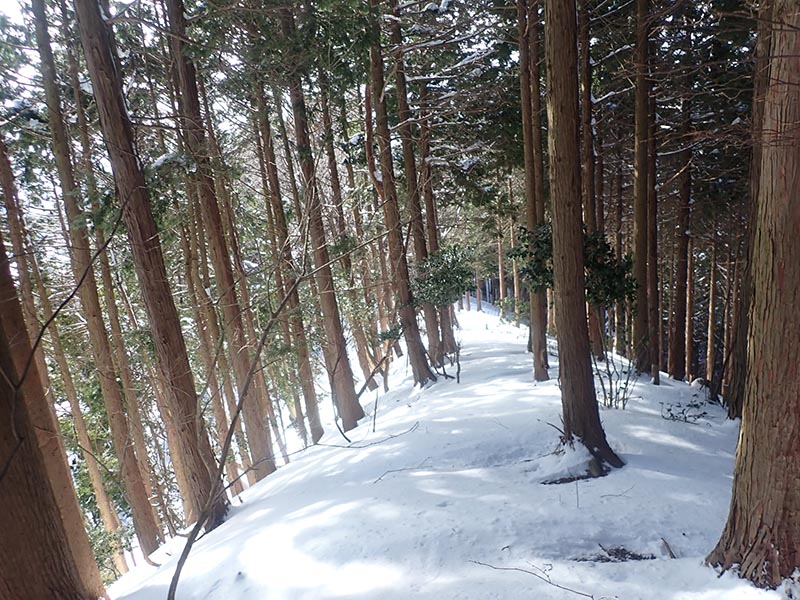 6.先頭の楽しみ