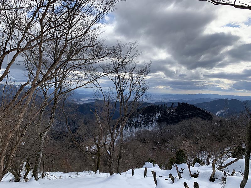10.天狗杉より市内を望む