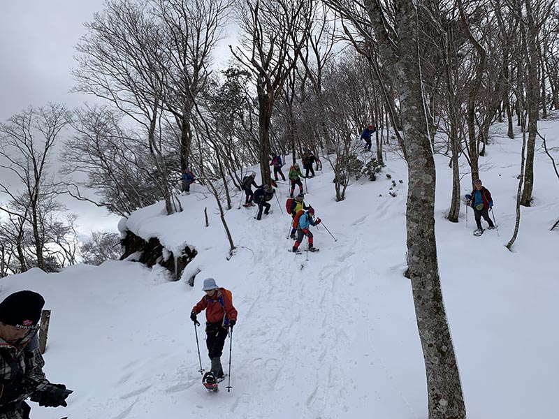 5.稜線から林道へ