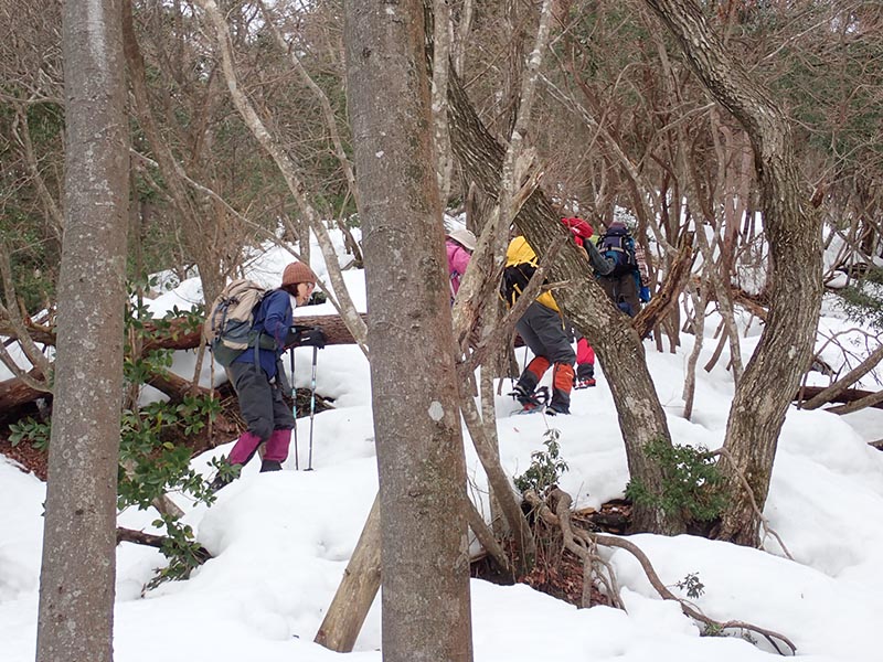 4.富阪尾根で大苦戦その2