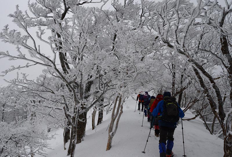 5.樹氷のトンネル1