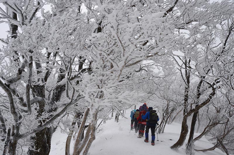 6.樹氷のトンネル2
