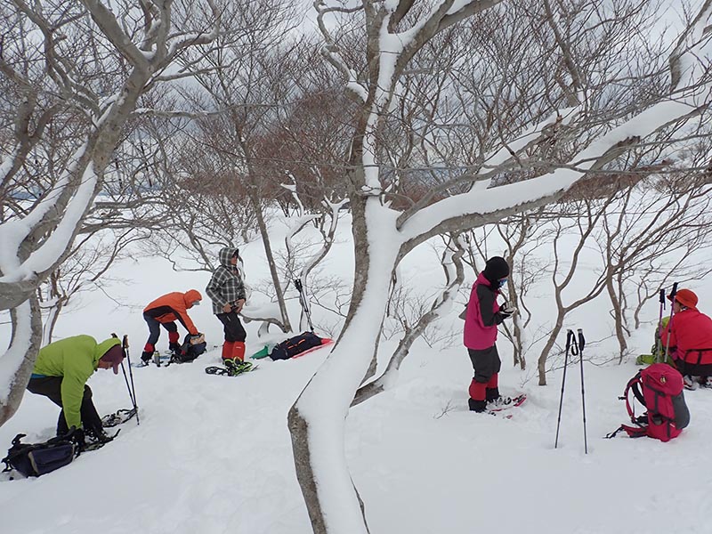 8.粟柄峠付近の茂みで昼食