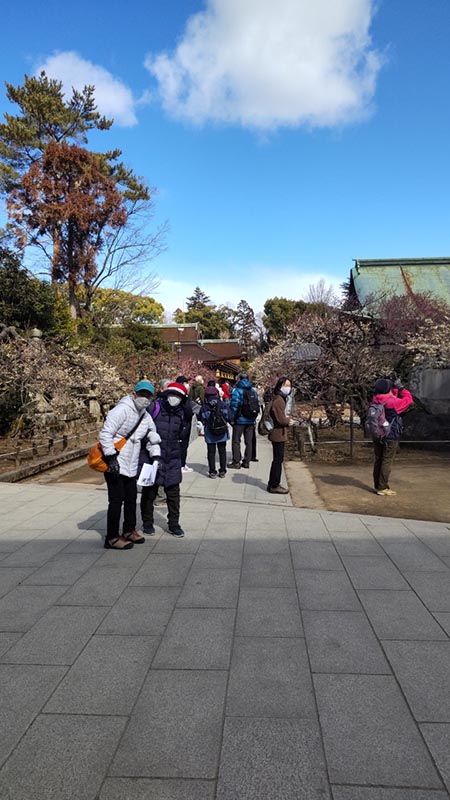 9.梅もいい感じに咲いて