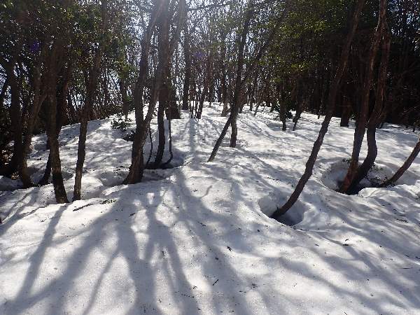 3.山頂付近尾根