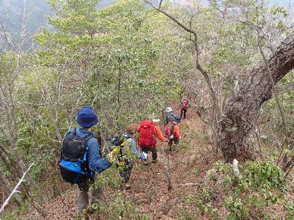8.山頂直下の登り