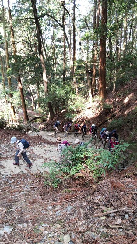 4.急な階段が続く