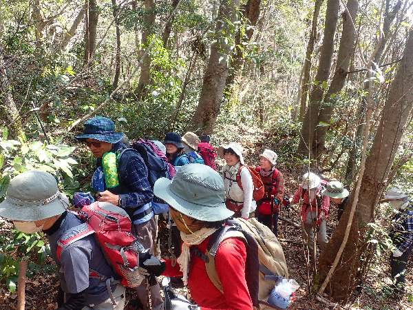 1.カンアオイの観察