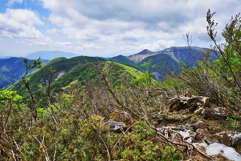 3.登山道より伊吹山