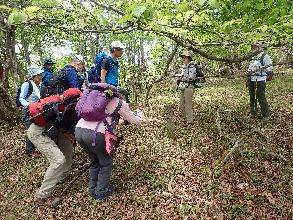 3.懸営林の石標