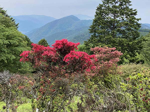 2.横高山をバックに